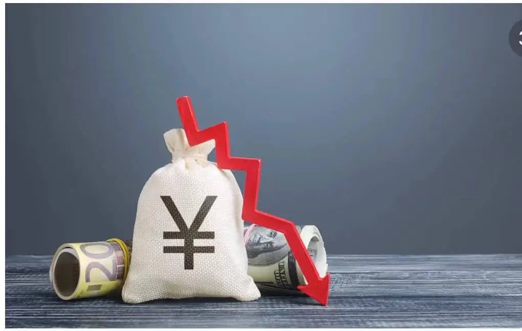 广西水培花卉公司排名前十